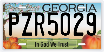 GA license plate PZR5029