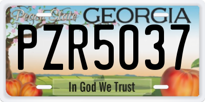 GA license plate PZR5037