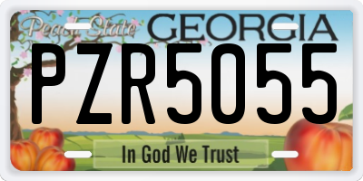 GA license plate PZR5055