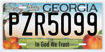 GA license plate PZR5099