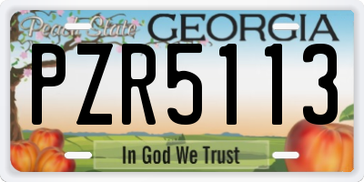 GA license plate PZR5113