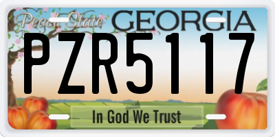 GA license plate PZR5117
