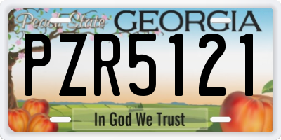 GA license plate PZR5121