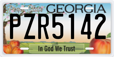 GA license plate PZR5142