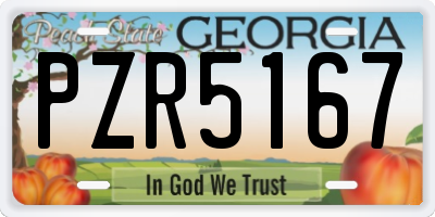 GA license plate PZR5167