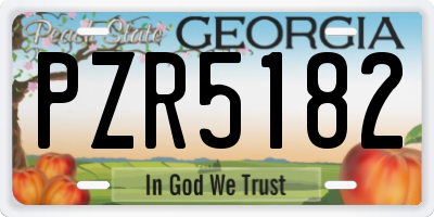 GA license plate PZR5182
