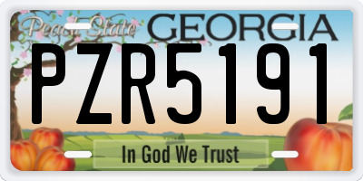 GA license plate PZR5191