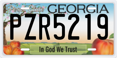 GA license plate PZR5219