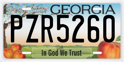 GA license plate PZR5260