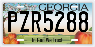 GA license plate PZR5288