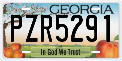 GA license plate PZR5291