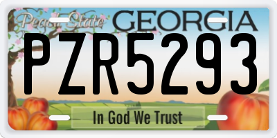 GA license plate PZR5293