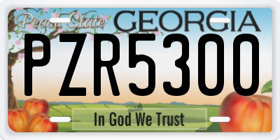 GA license plate PZR5300