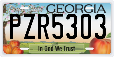 GA license plate PZR5303