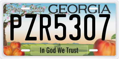 GA license plate PZR5307