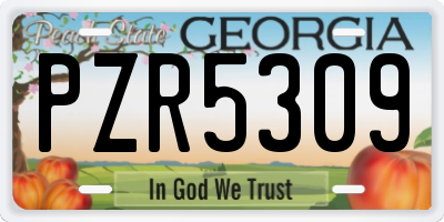 GA license plate PZR5309