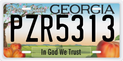 GA license plate PZR5313
