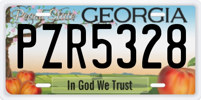 GA license plate PZR5328