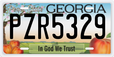 GA license plate PZR5329