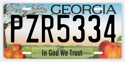 GA license plate PZR5334