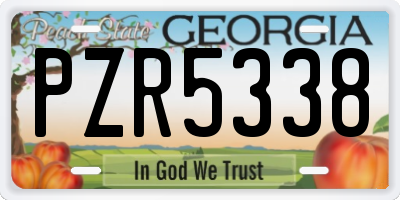 GA license plate PZR5338