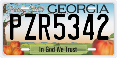 GA license plate PZR5342