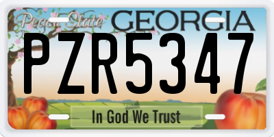 GA license plate PZR5347