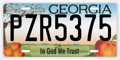 GA license plate PZR5375