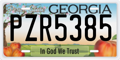 GA license plate PZR5385