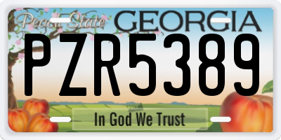 GA license plate PZR5389