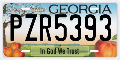 GA license plate PZR5393