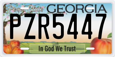 GA license plate PZR5447