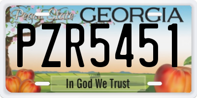 GA license plate PZR5451