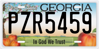 GA license plate PZR5459