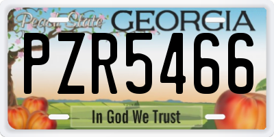 GA license plate PZR5466