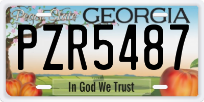 GA license plate PZR5487