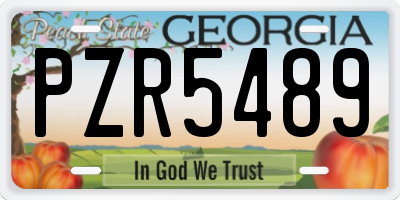 GA license plate PZR5489