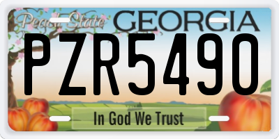 GA license plate PZR5490