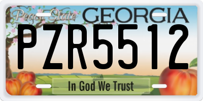 GA license plate PZR5512