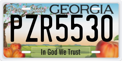 GA license plate PZR5530