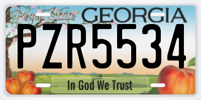 GA license plate PZR5534