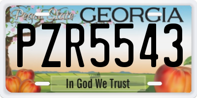 GA license plate PZR5543