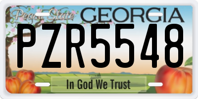 GA license plate PZR5548