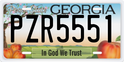 GA license plate PZR5551