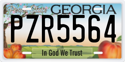 GA license plate PZR5564