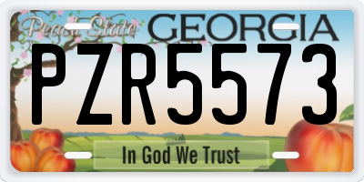 GA license plate PZR5573