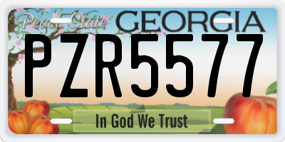 GA license plate PZR5577