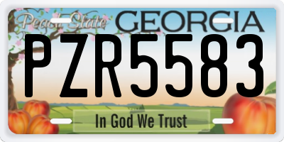 GA license plate PZR5583