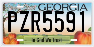 GA license plate PZR5591