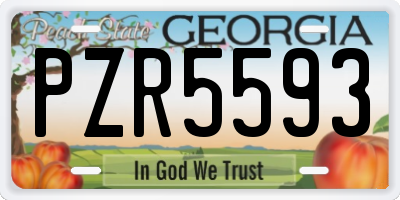 GA license plate PZR5593